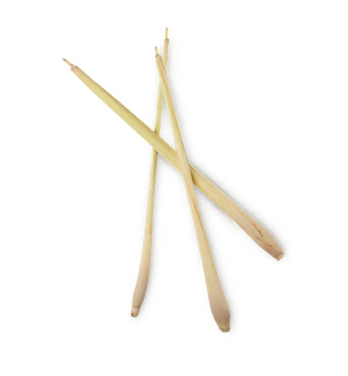 レモングラス